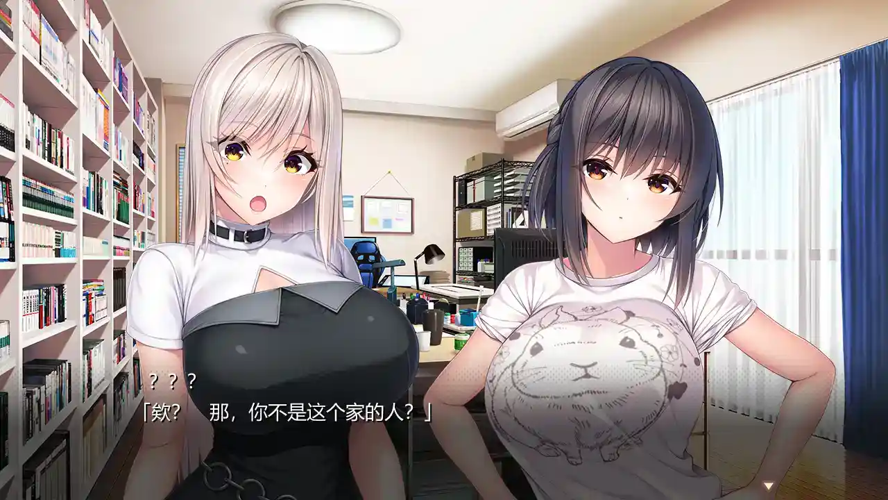 《山掛姐妹的共演物语》KRKR双端版：动态演出与双生羁绊的全语音剧场