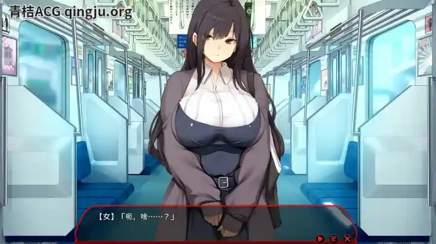 《满车率300%≒／満車率300% 3≒Append.1 鉄板ギャル御乗車ぱっち+DLC1》PC版深度评测：策略与乐趣并存