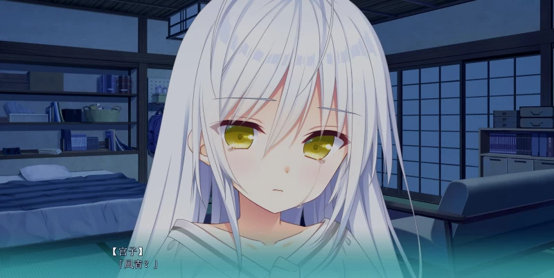 恋爱成双/Futamata Ren\'ai: Two Times the Trouble Build.19349035 官方简体中文版 PC电脑版v1.2.0配置需求与更新内容图片-2